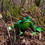 torrate, arti nel bosco #5 - frogs