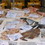 udine, fish market
